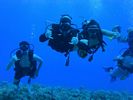 Hawaii Scuba divng 19