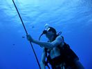 Hawaii Scuba divng 23