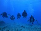 Hawaii Scuba divng 31