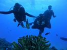 Hawaii Scuba divng 34