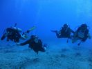 Hawaii Scuba divng 36