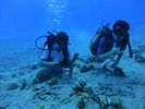 Hawaii Scuba divng 37