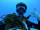 Hawaii Scuba divng 46