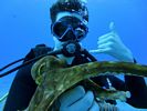 Hawaii Scuba divng 47