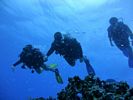 Hawaii Scuba divng 63