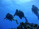 Hawaii Scuba divng 63