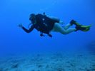 Hawaii Scuba divng 64