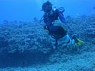 Hawaii Scuba divng 65