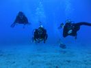 Hawaii Scuba divng 70