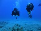 Hawaii Scuba divng 71