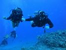 Hawaii Scuba divng 72