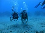 Hawaii Scuba divng 19