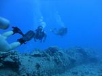 Hawaii Scuba divng 22