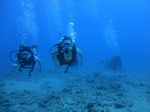 Hawaii Scuba divng 23