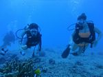 Hawaii Scuba divng 30