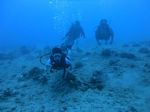 Hawaii Scuba divng 32