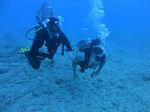 Hawaii Scuba divng 33