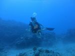 Hawaii Scuba divng 35