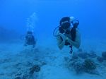 Hawaii Scuba divng 36