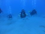 Hawaii Scuba divng 37