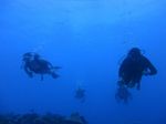 Hawaii Scuba divng 38