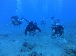 Hawaii Scuba divng 40