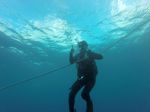 Hawaii Scuba divng 42