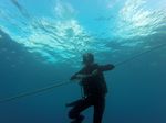 Hawaii Scuba divng 43