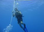 Hawaii Scuba divng 09