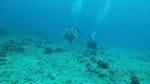 Hawaii Scuba divng 11