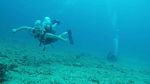 Hawaii Scuba divng 12