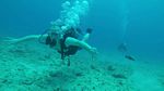 Hawaii Scuba divng 16