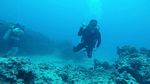 Hawaii Scuba divng 21