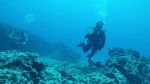 Hawaii Scuba divng 22