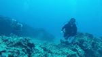 Hawaii Scuba divng 23