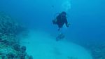 Hawaii Scuba divng 26