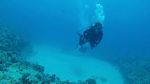 Hawaii Scuba divng 27