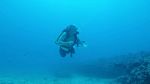 Hawaii Scuba divng 31