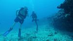 Hawaii Scuba divng 33