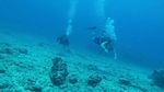 Hawaii Scuba divng 34