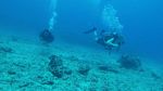 Hawaii Scuba divng 35