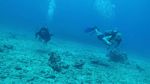 Hawaii Scuba divng 36