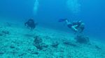 Hawaii Scuba divng 37