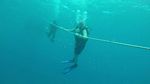 Hawaii Scuba divng 04