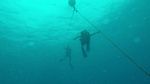 Hawaii Scuba divng 05