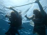 Hawaii Scuba divng 10