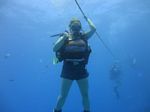 Hawaii Scuba divng 13