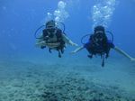 Hawaii Scuba divng 17