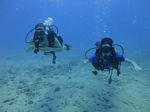 Hawaii Scuba divng 18