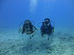 Hawaii Scuba divng 19